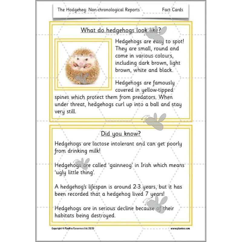 The Hodgeheg: Non-chronological Reports - Image 31