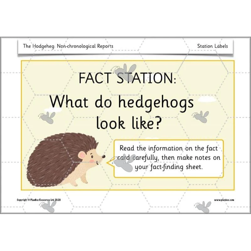 The Hodgeheg: Non-chronological Reports - Image 32