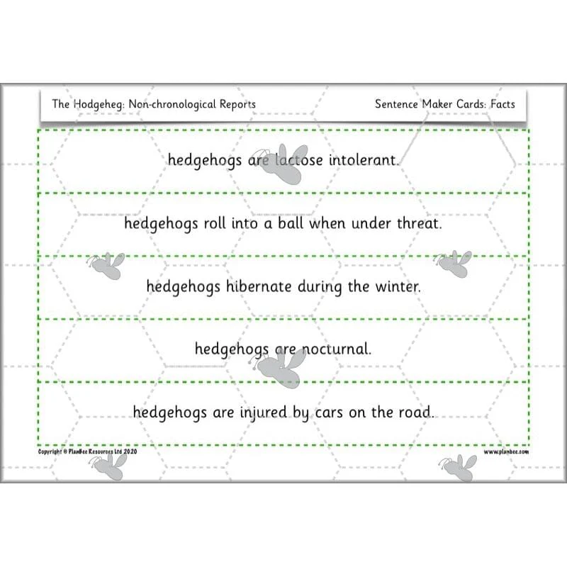 The Hodgeheg: Non-chronological Reports - Image 39