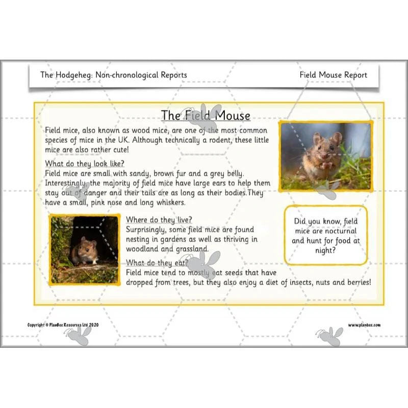 The Hodgeheg: Non-chronological Reports - Image 47