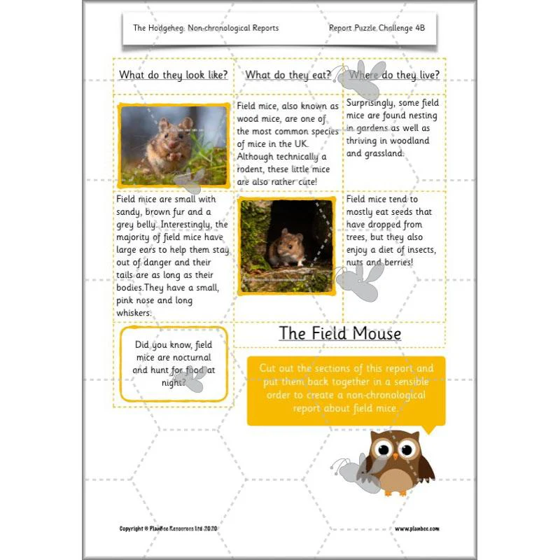 The Hodgeheg: Non-chronological Reports - Image 48