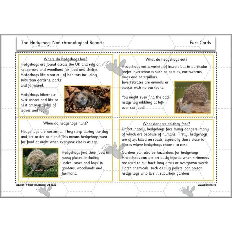 The Hodgeheg: Non-chronological Reports - Image 55