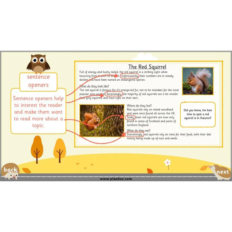 The Hodgeheg: Non-chronological Reports - Image 6