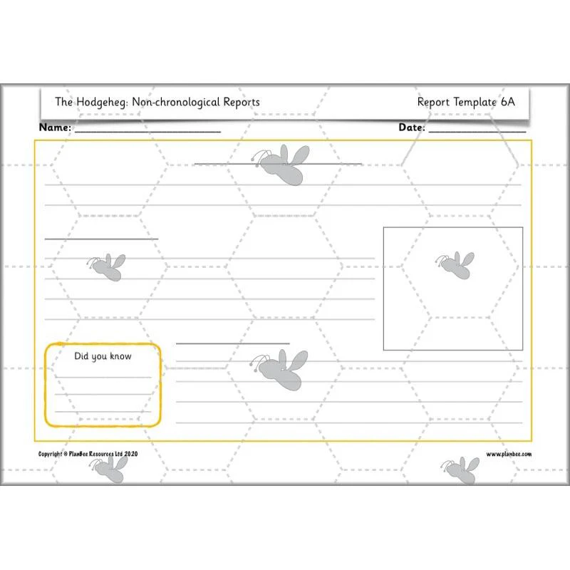 The Hodgeheg: Non-chronological Reports - Image 62