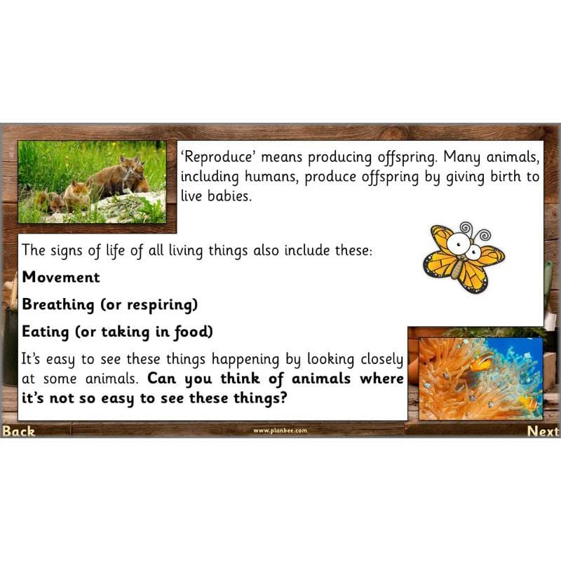 The Secret World of Plants - Image 10
