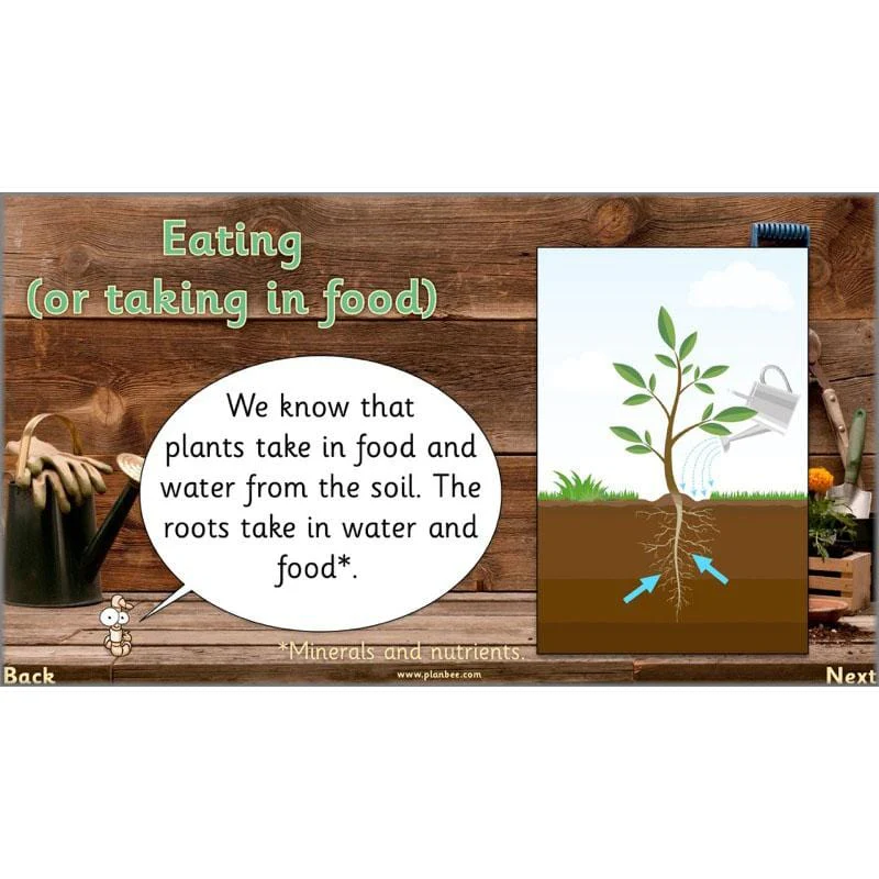 The Secret World of Plants - Image 11