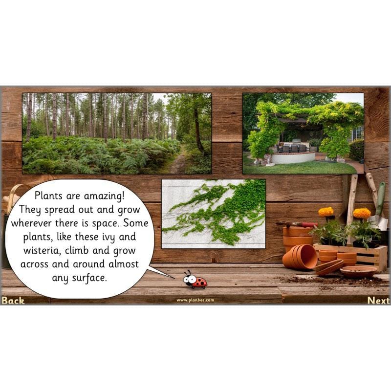 The Secret World of Plants - Image 13