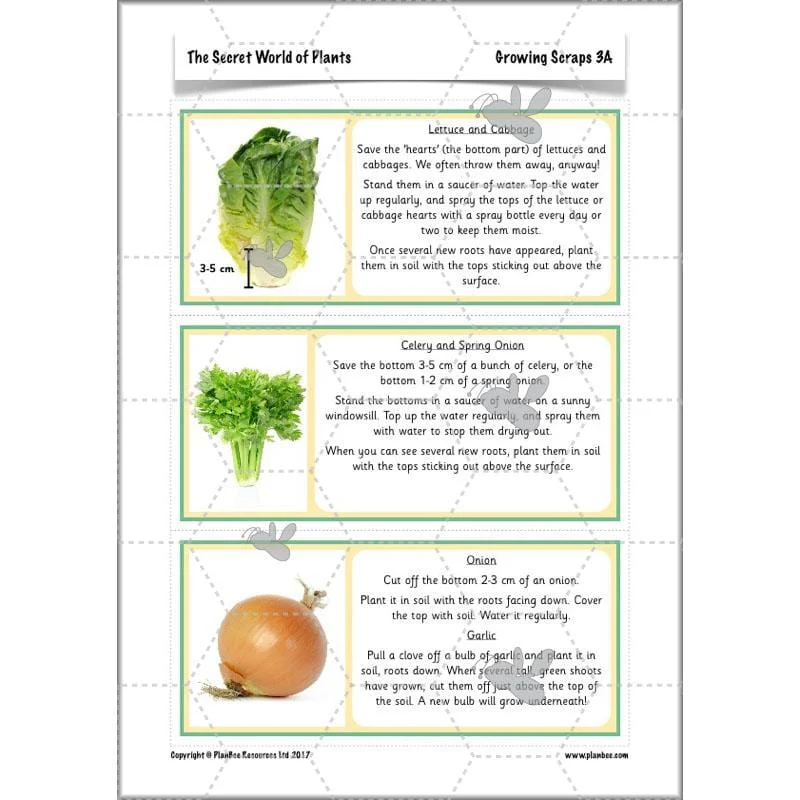 The Secret World of Plants - Image 18