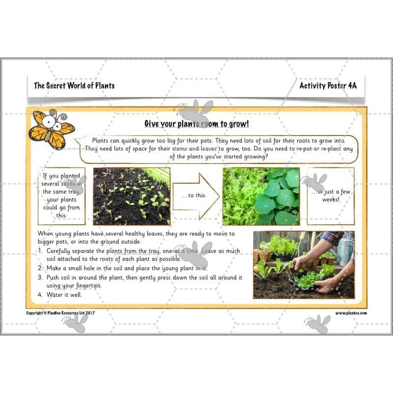The Secret World of Plants - Image 19