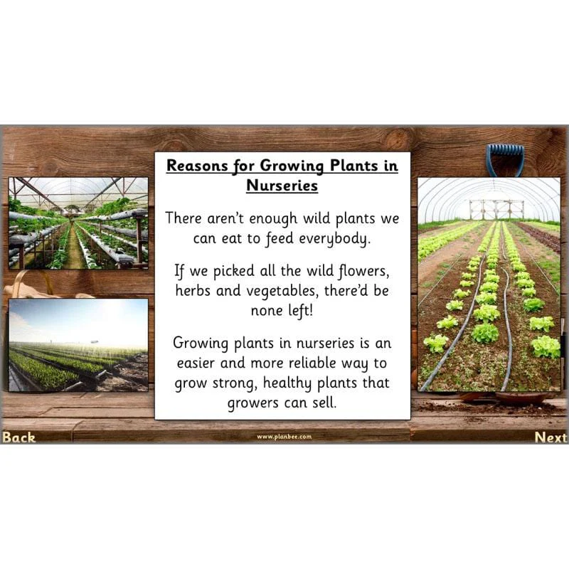 The Secret World of Plants - Image 25
