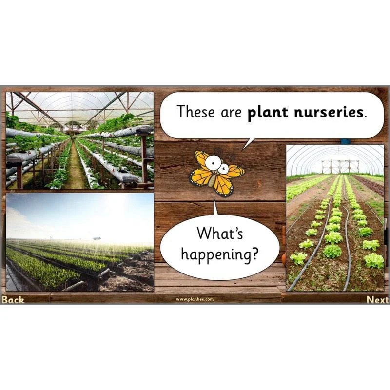 The Secret World of Plants - Image 26