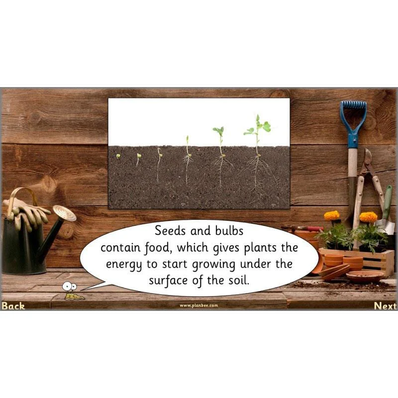 The Secret World of Plants - Image 27