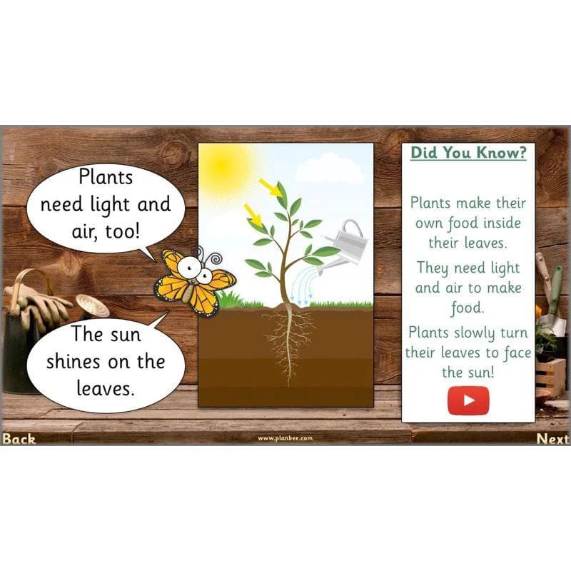 The Secret World of Plants - Image 35