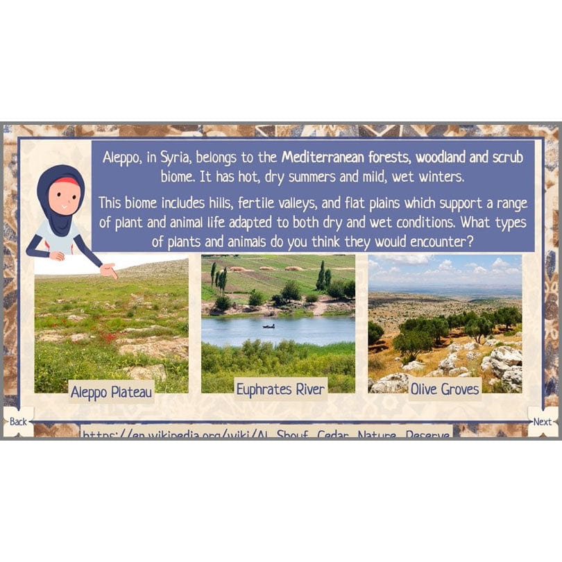 The Silk Road - Image 12