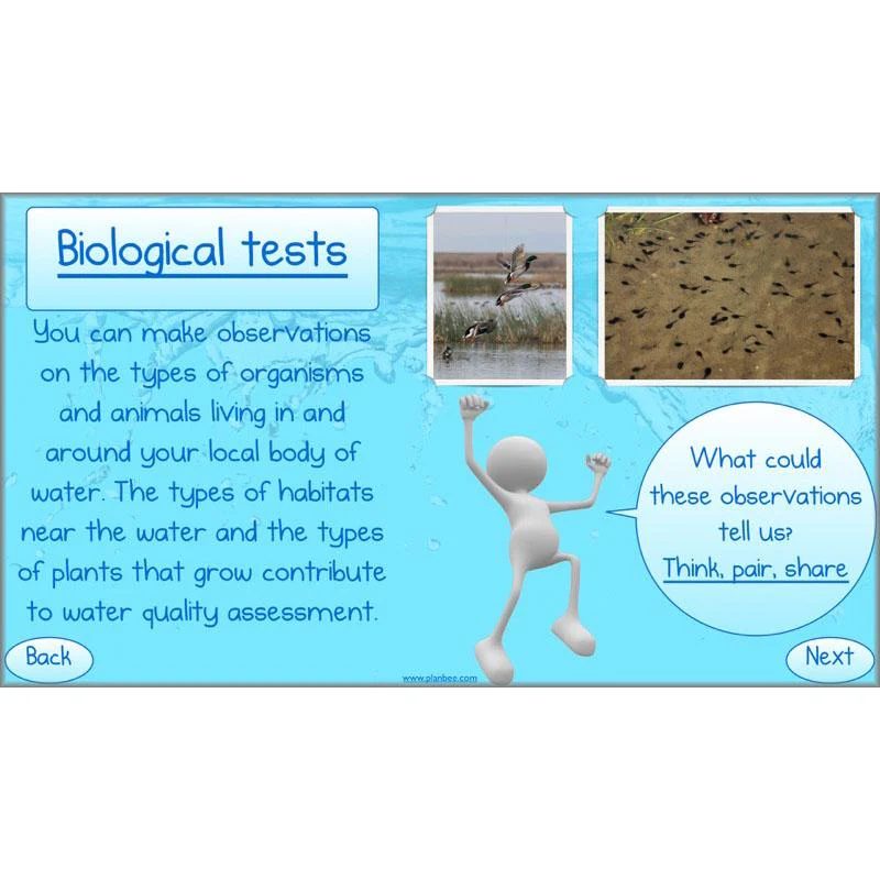 Water World - Image 7