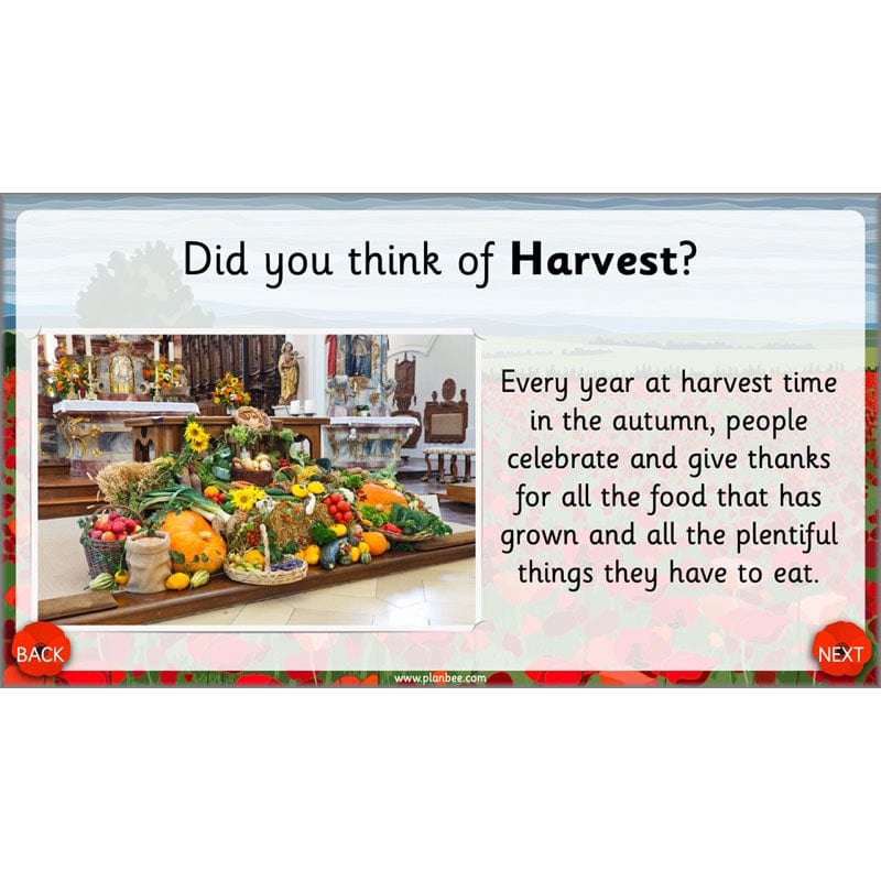 What are we remembering on Remembrance Day? - Image 22