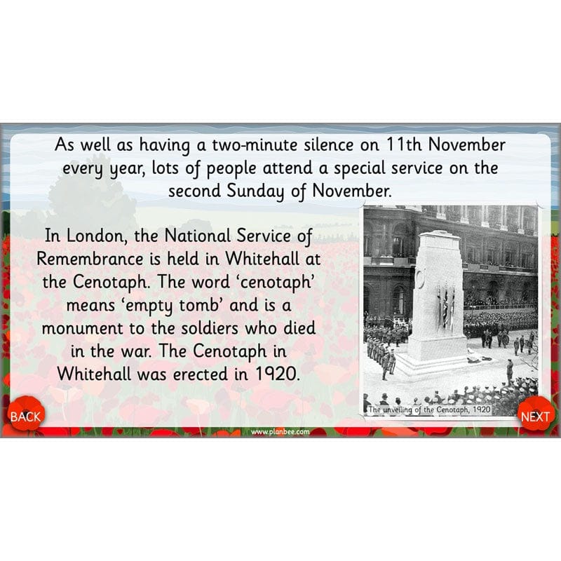 What are we remembering on Remembrance Day? - Image 47