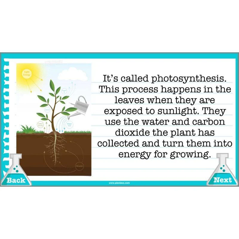 What Do Scientists Do? - Image 13