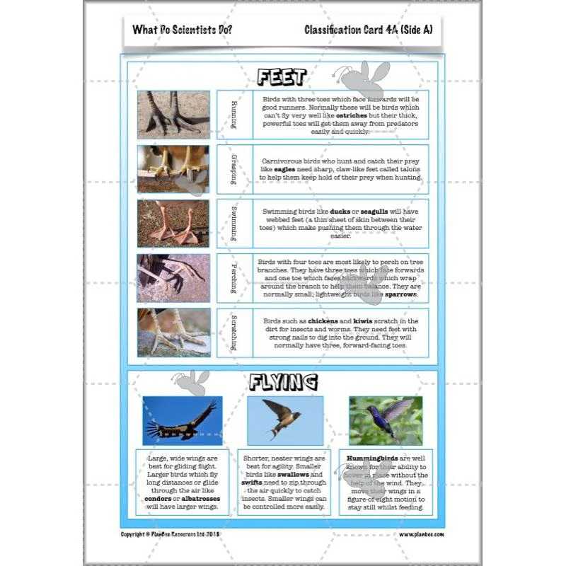 What Do Scientists Do? - Image 19