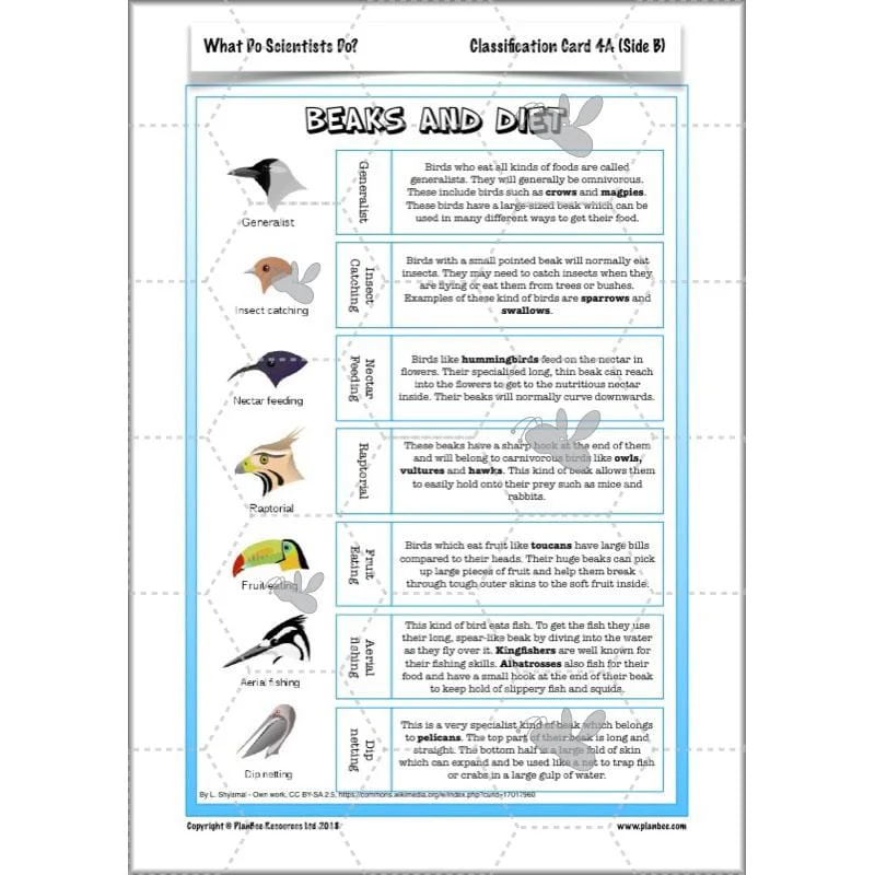 What Do Scientists Do? - Image 54