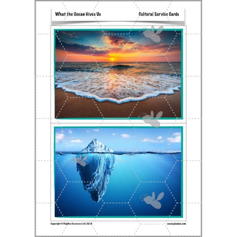 What the Ocean Gives Us - Image 12