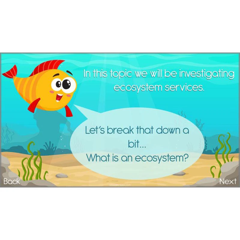 What the Ocean Gives Us - Image 16