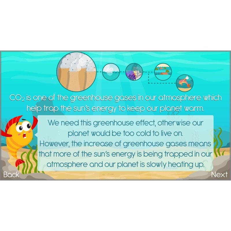 What the Ocean Gives Us - Image 8