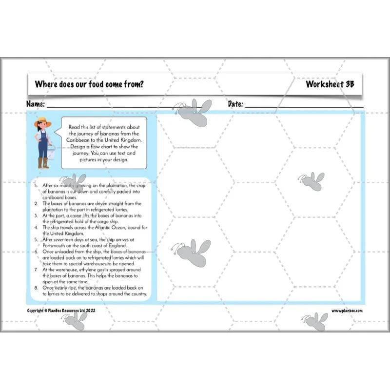 Where does our food come from? - Image 12