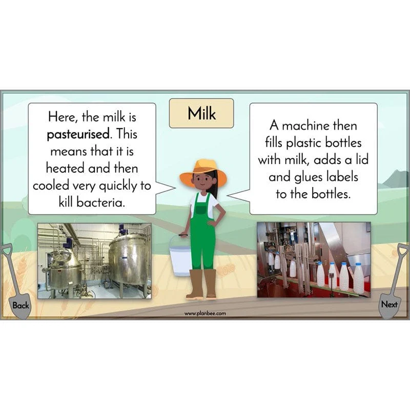 Where does our food come from? - Image 22