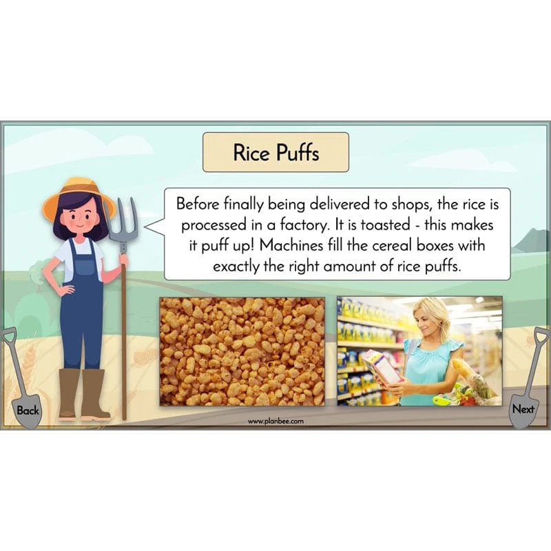 Where does our food come from? - Image 23
