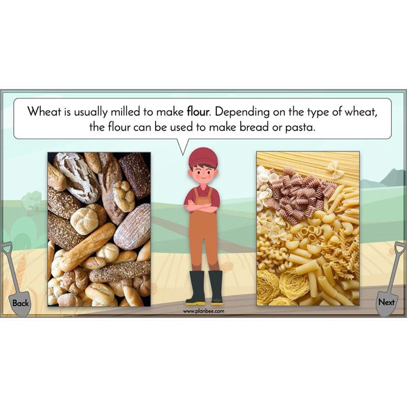 Where does our food come from? - Image 32