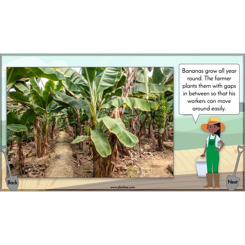 Where does our food come from? - Image 39