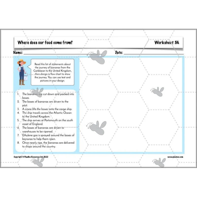 Where does our food come from? - Image 41