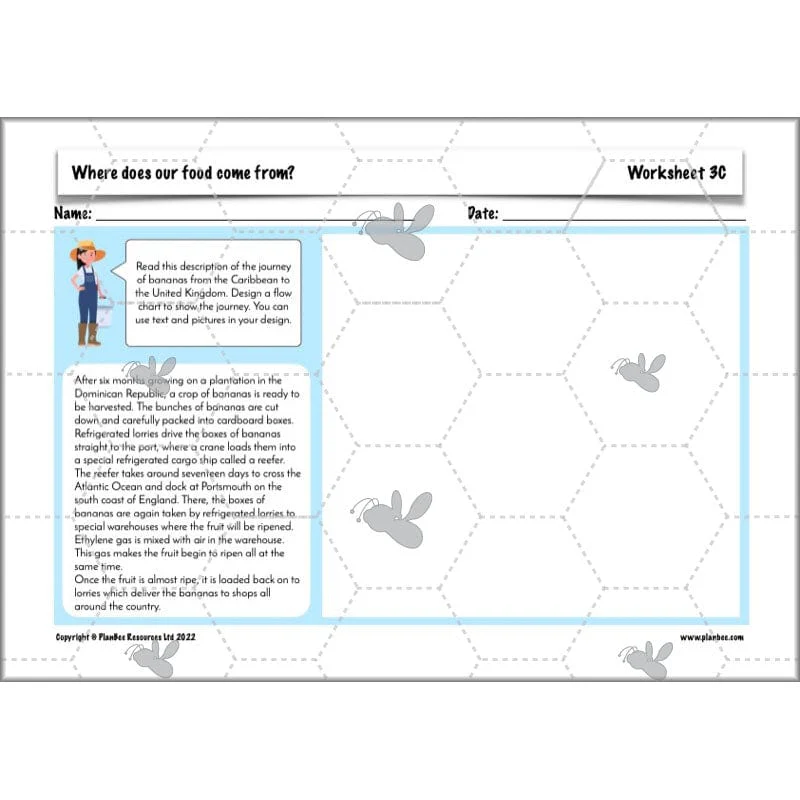Where does our food come from? - Image 42