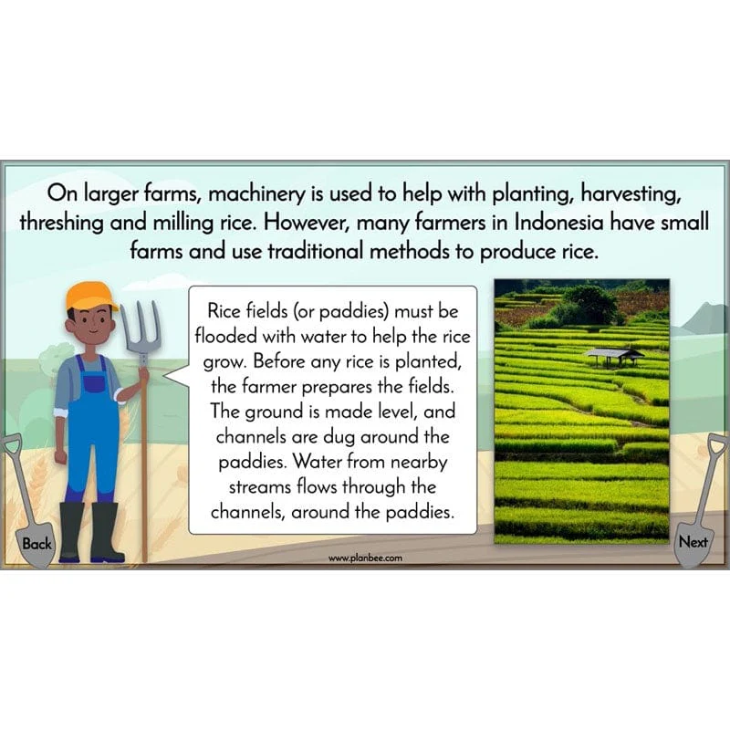 Where does our food come from? - Image 46