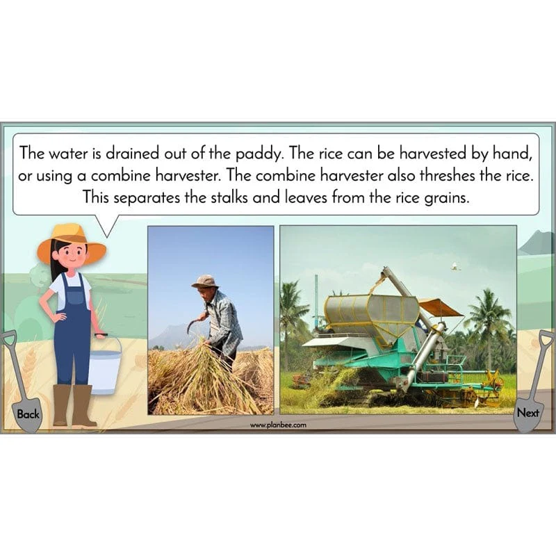 Where does our food come from? - Image 47
