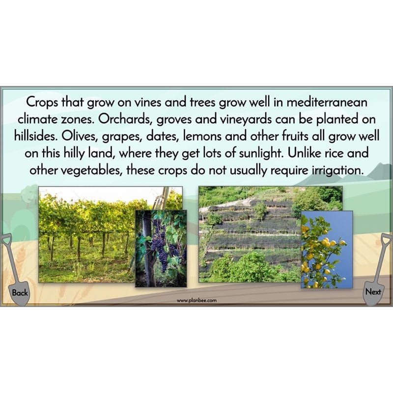 Where does our food come from? - Image 56
