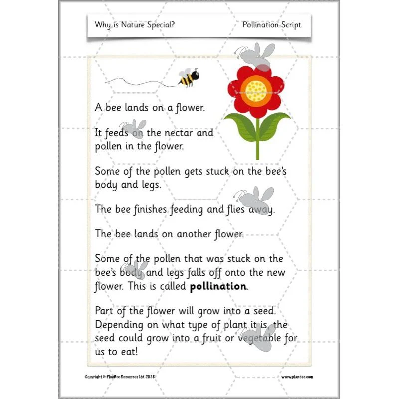 Why is Nature Special - Image 14