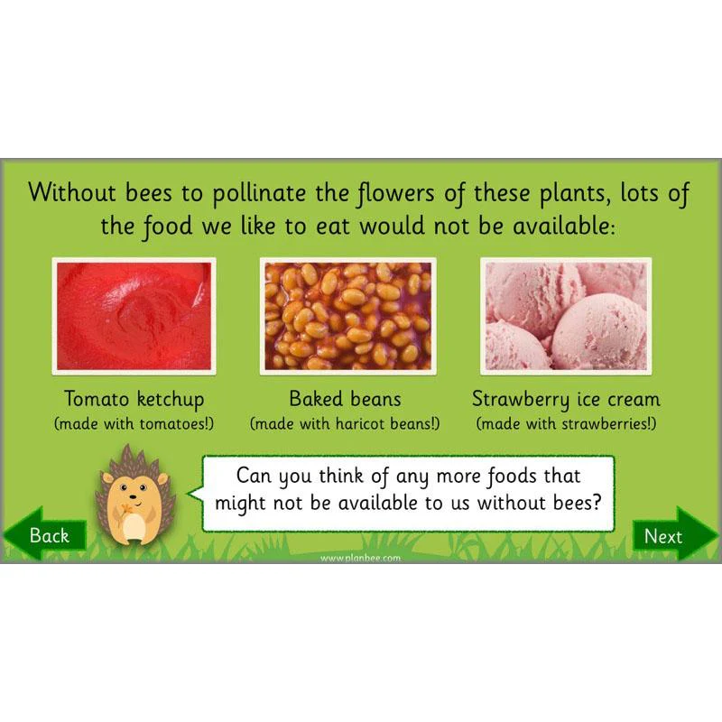 Why is Nature Special - Image 30