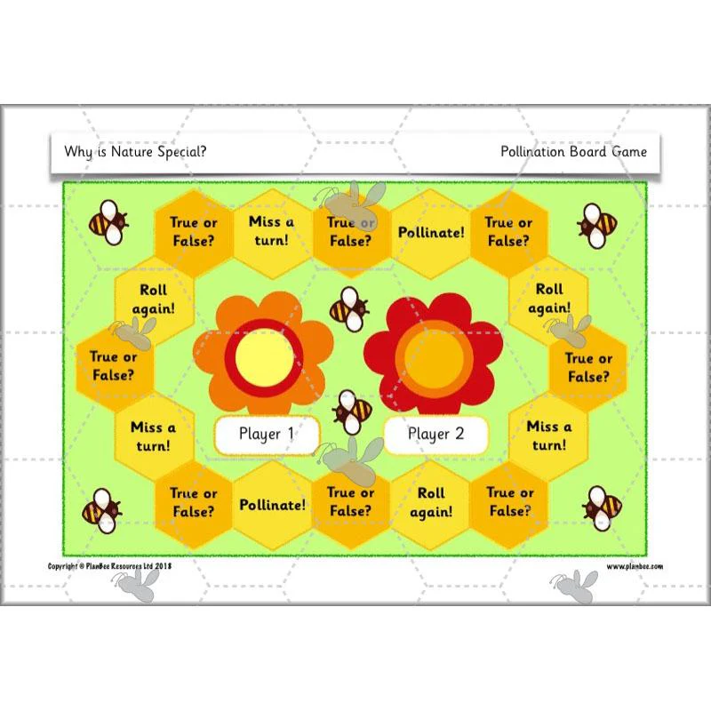 Why is Nature Special - Image 33