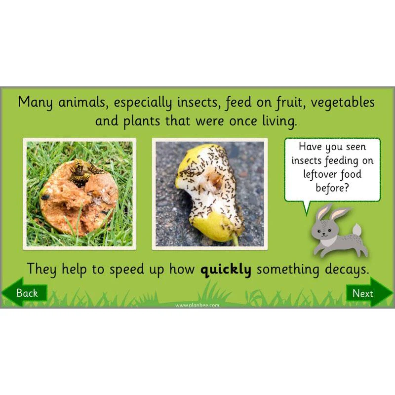 Why is Nature Special - Image 36