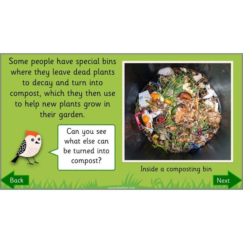 Why is Nature Special - Image 4