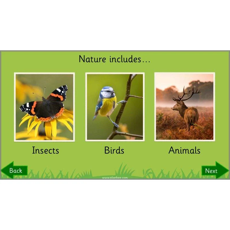 Why is Nature Special - Image 5