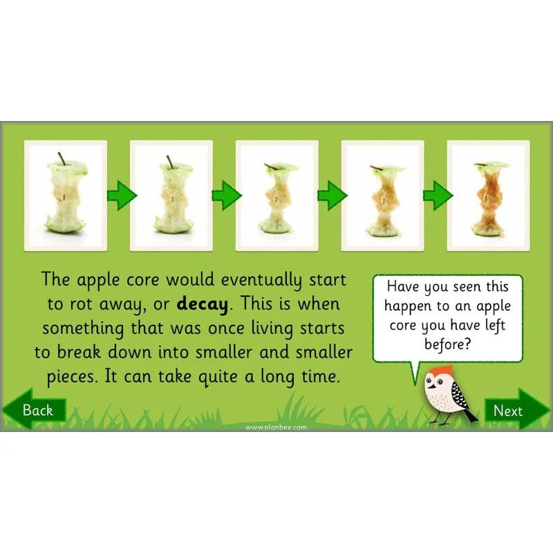 Why is Nature Special - Image 9