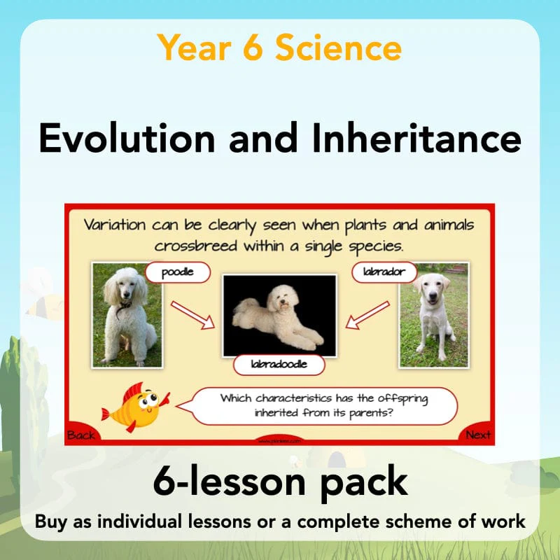 Evolution and Inheritance