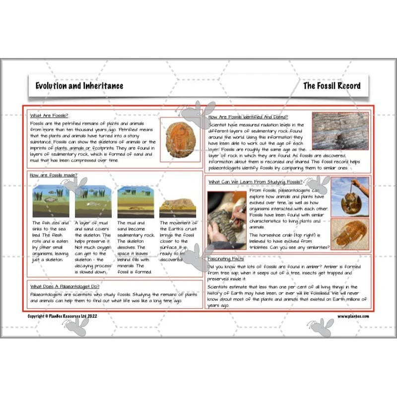 Evolution and Inheritance - Image 15