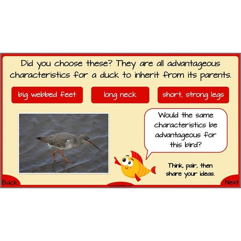 Evolution and Inheritance - Image 31