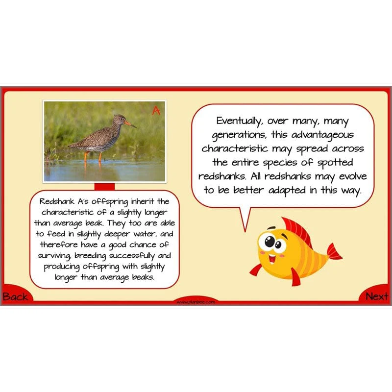Evolution and Inheritance - Image 33