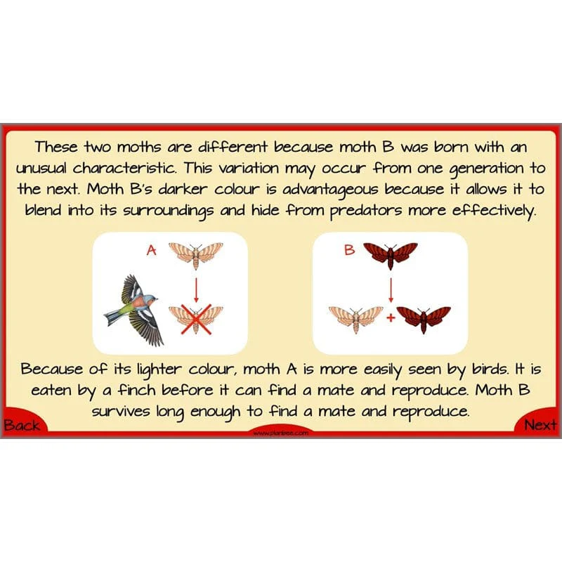 Evolution and Inheritance - Image 5
